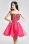 Chic Pink Sweetheart Organza A Line Short Cocktail Dress