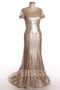 Sheath Fishtail Lace sleeved Sequins Full length Formal Dress in Champagne