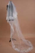 Lace Applique Chapel Length One Tier Wedding Veil