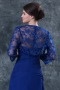 Vintage Blue Sleeved Embroidery Lace Wrap