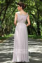 Elegant long Gray Ruching Formal Evening Dress Persun
